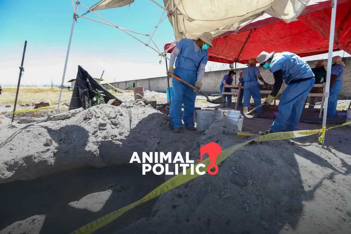 Buscadoras alertan: Teuchitlán no es el único sitio de exterminio en el país