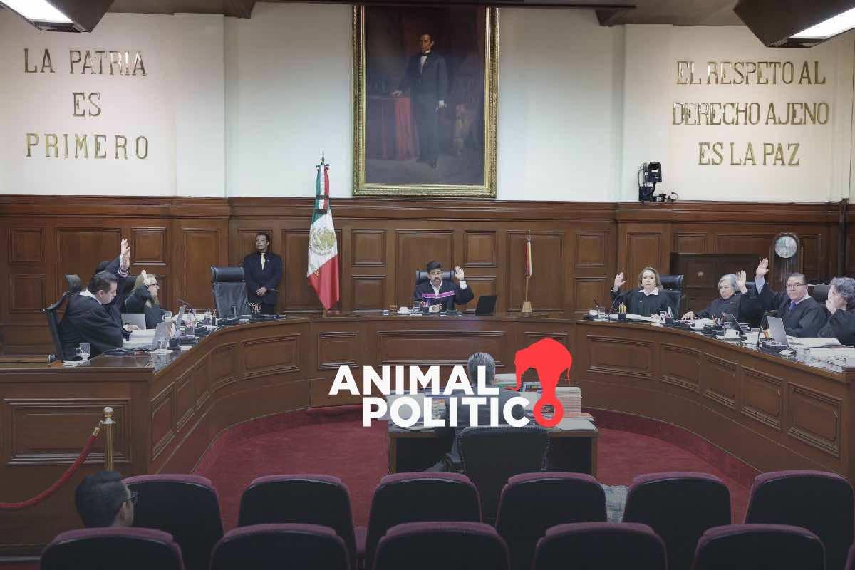 En manos de la Corte, demandas multimillonarias de Google y Samsung que podrían sentar precedentes en 2026