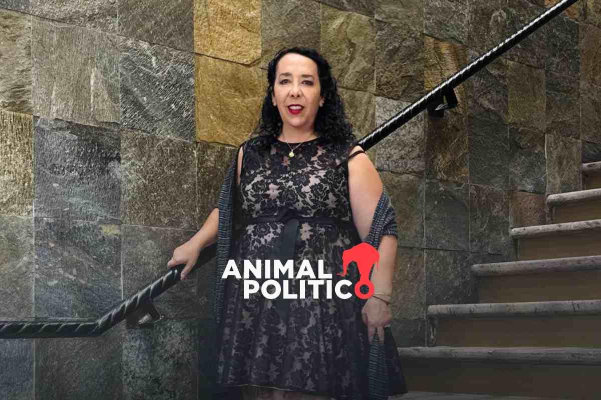 Hilda Brown, diputada de Morena acusada de nexos con el crimen organizado, recibirá el 30 % de sus ingresos por orden de un juez