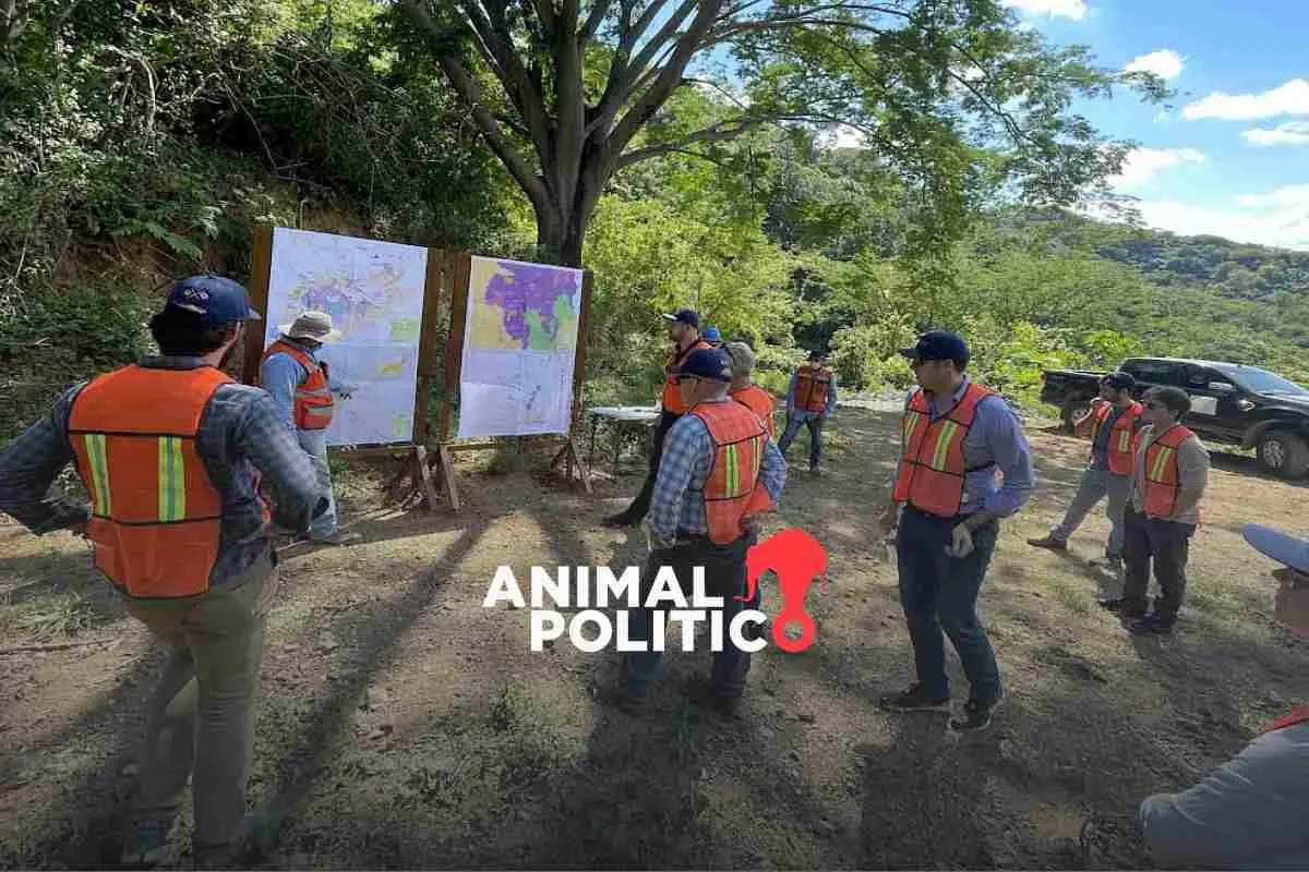 Minera Vizsla Silver suspende operaciones en Concordia, Sinaloa, tras desaparición de 10 trabajadores