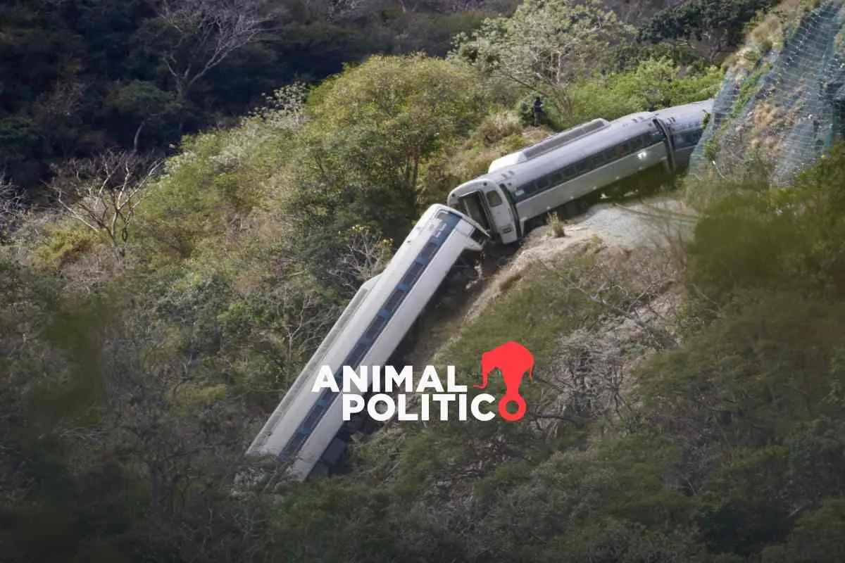 Diputados del PAN presentan denuncia contra Gonzalo López Beltrán, hijo de AMLO, por homicidio tras descarrilamiento del Tren Interoceánico