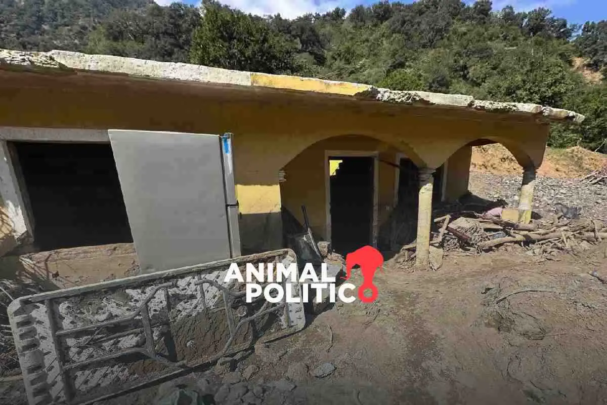 Pobladores de Chapula, comunidad declarada inhabitable en Hidalgo tras las lluvias, buscan recuperar su patrimonio