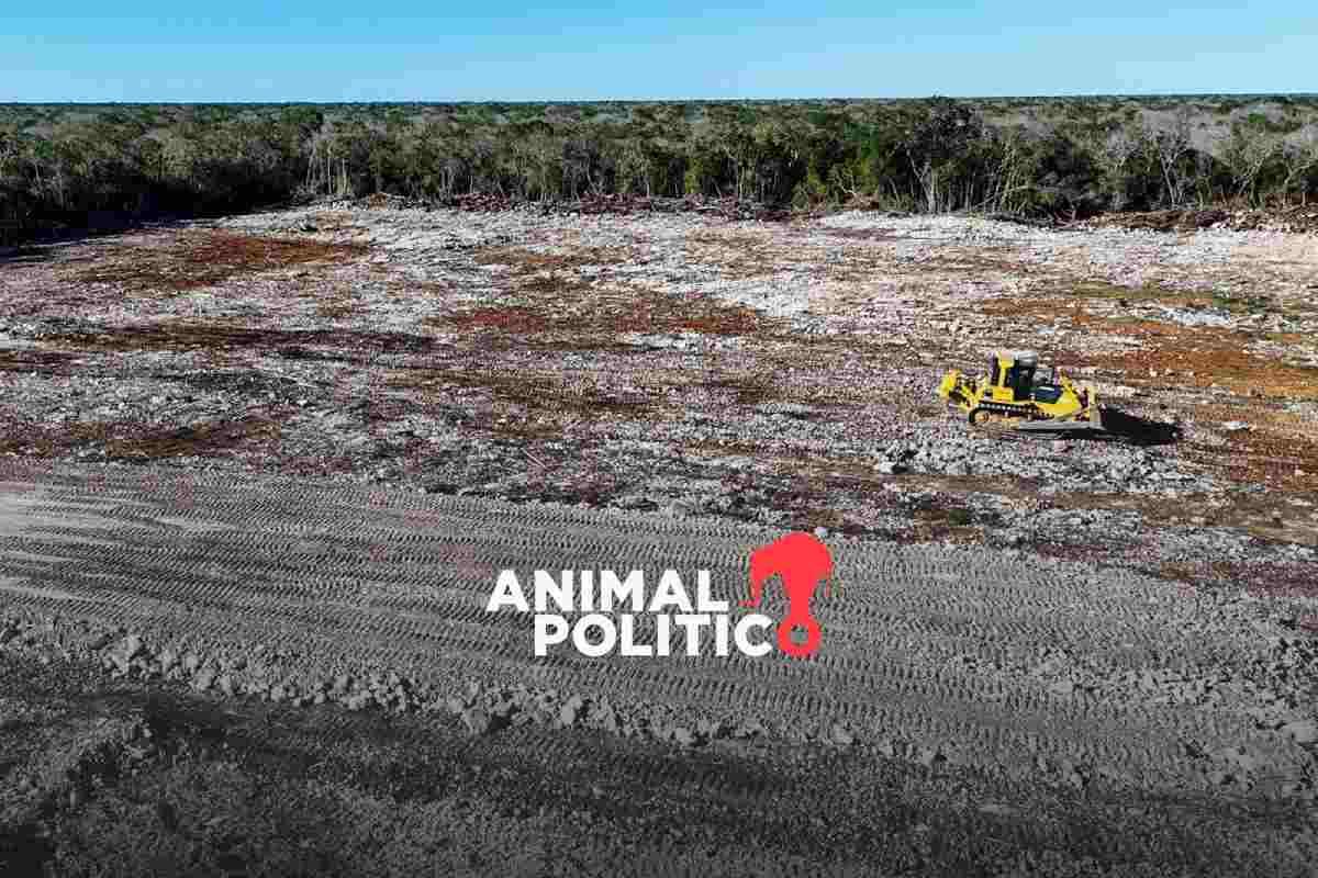 Profepa denuncia ante la FGR a empresa de huevo por violar sellos y dañar 13 hectáreas de vegetación en Kinchil, Yucatán