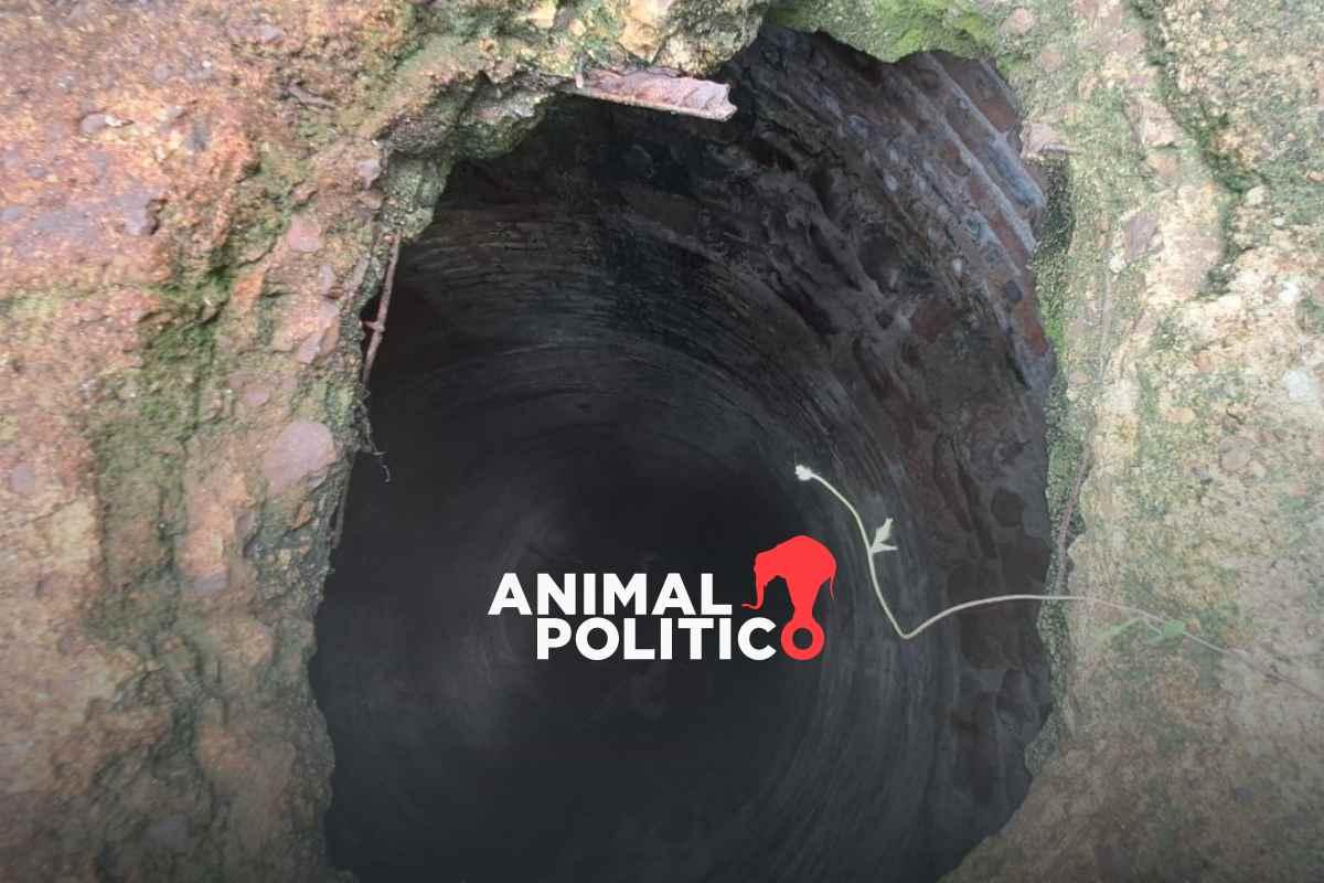 Guanajuato: más de 30 cuerpos han sido localizados en pozos de agua en cuatro años