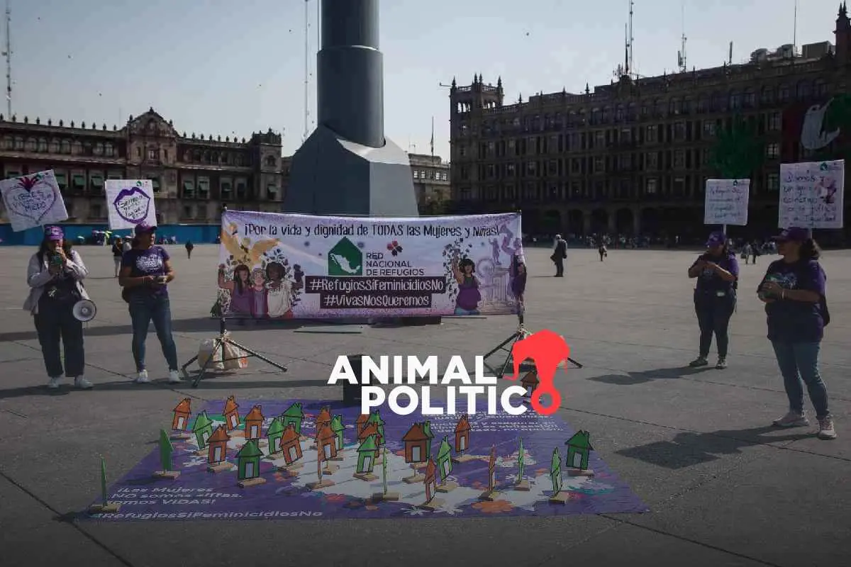 Refugios para mujeres tendrán solo 2 % más presupuesto para 2026; recursos deberán repartirse entre más centros