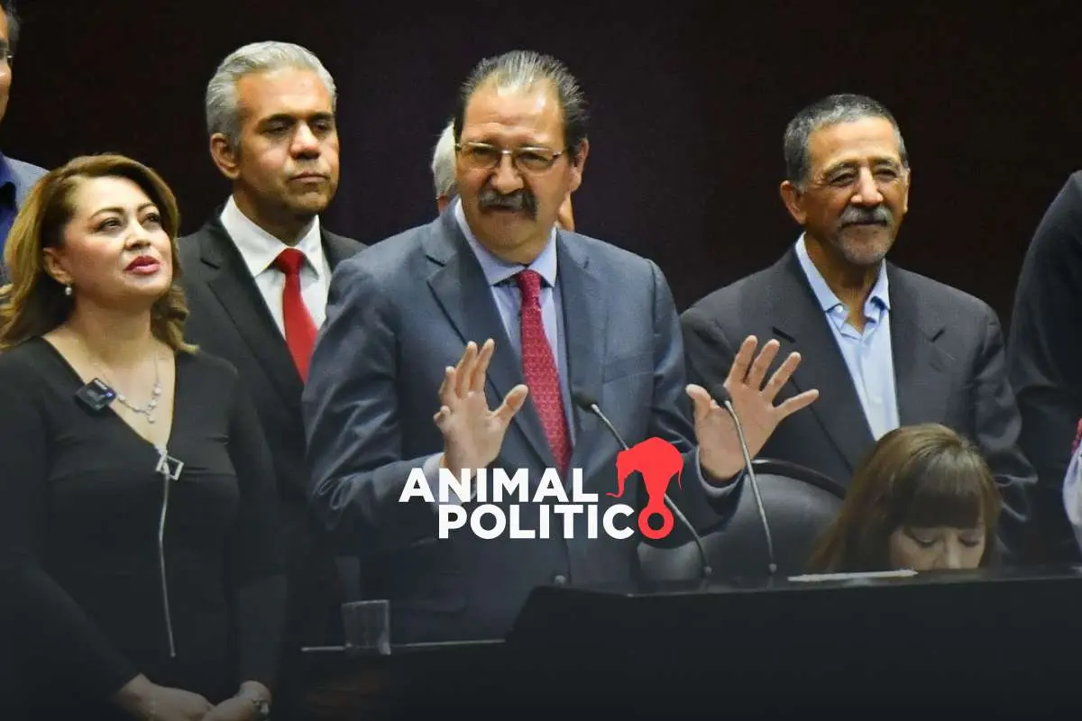 Reforma electoral “no es necesaria”, dice coordinador de diputados del PT; asegura que Morena no tiene votos suficientes