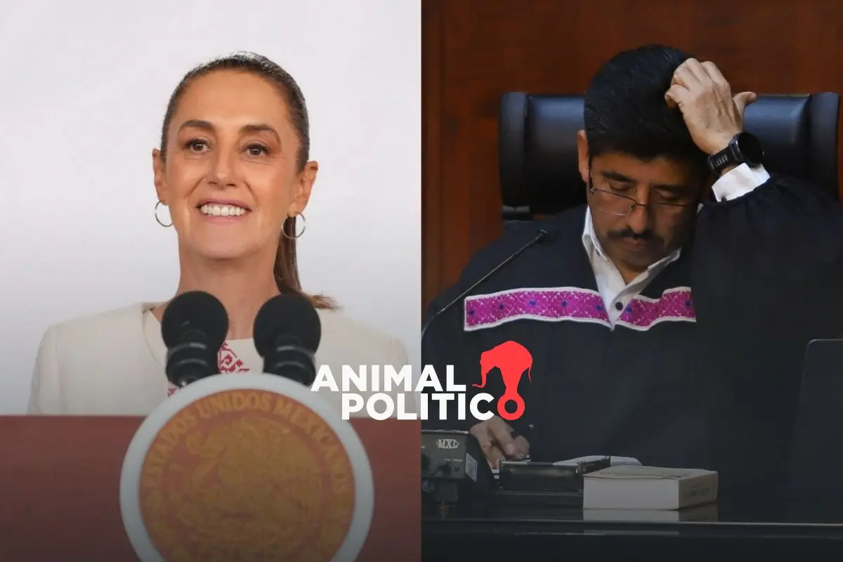 “Ahorraron más de mil millones de pesos”: Sheinbaum defiende compra de nuevos vehículos por la Suprema Corte