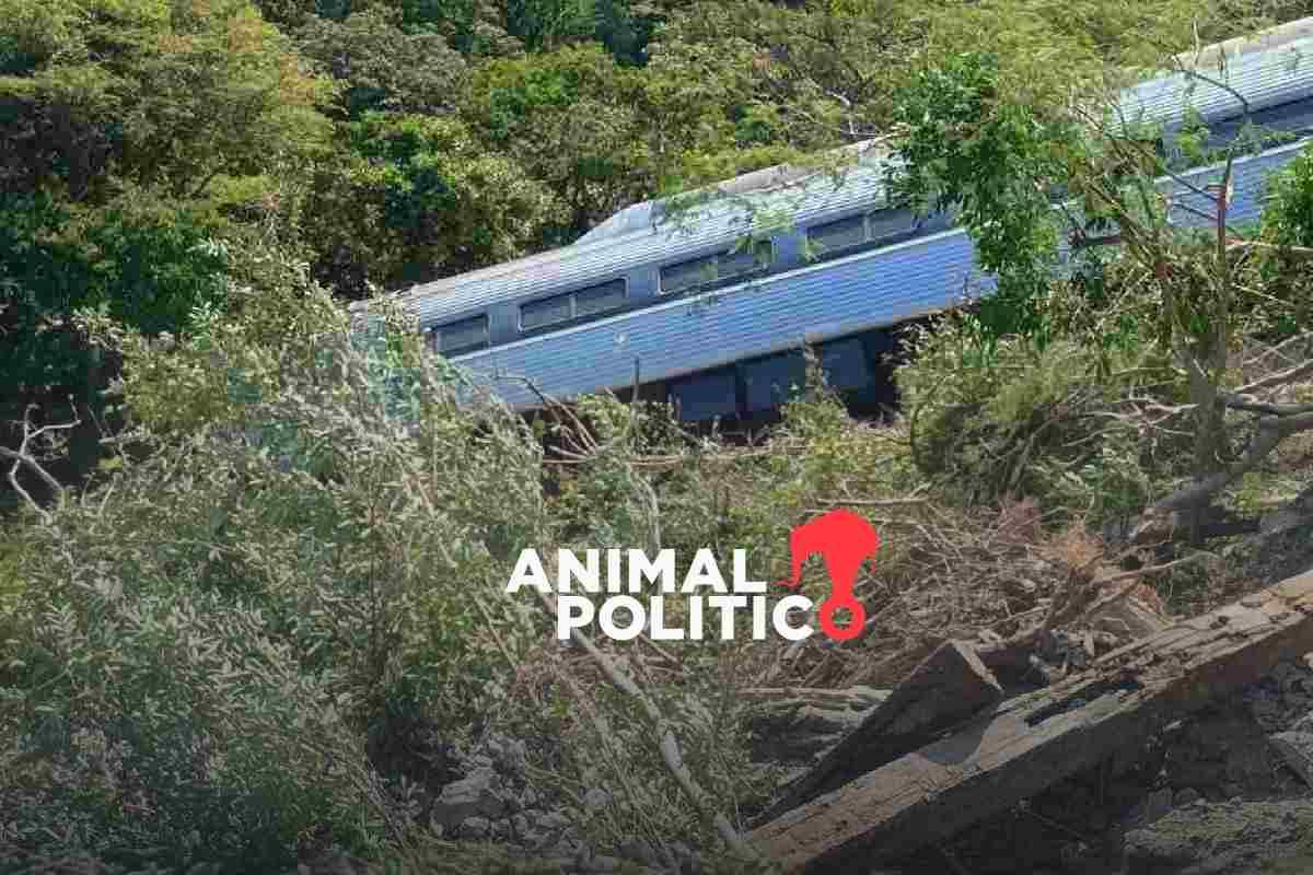 Sheinbaum urge a la FGR acelerar reparación integral a víctimas por descarrilamiento del Tren Interoceánico