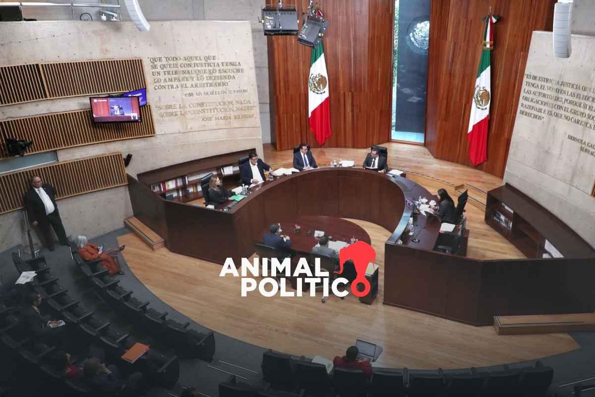 Tribunal ordena que mujer ocupe vacante de juez tras renuncia de candidato ganador en elecciones judiciales