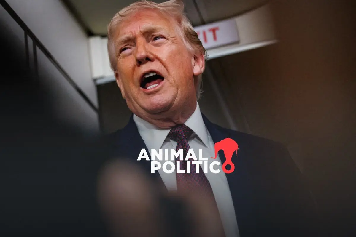 EU ha revocado más de 100 mil visas desde el regreso de Trump a la Casa Blanca