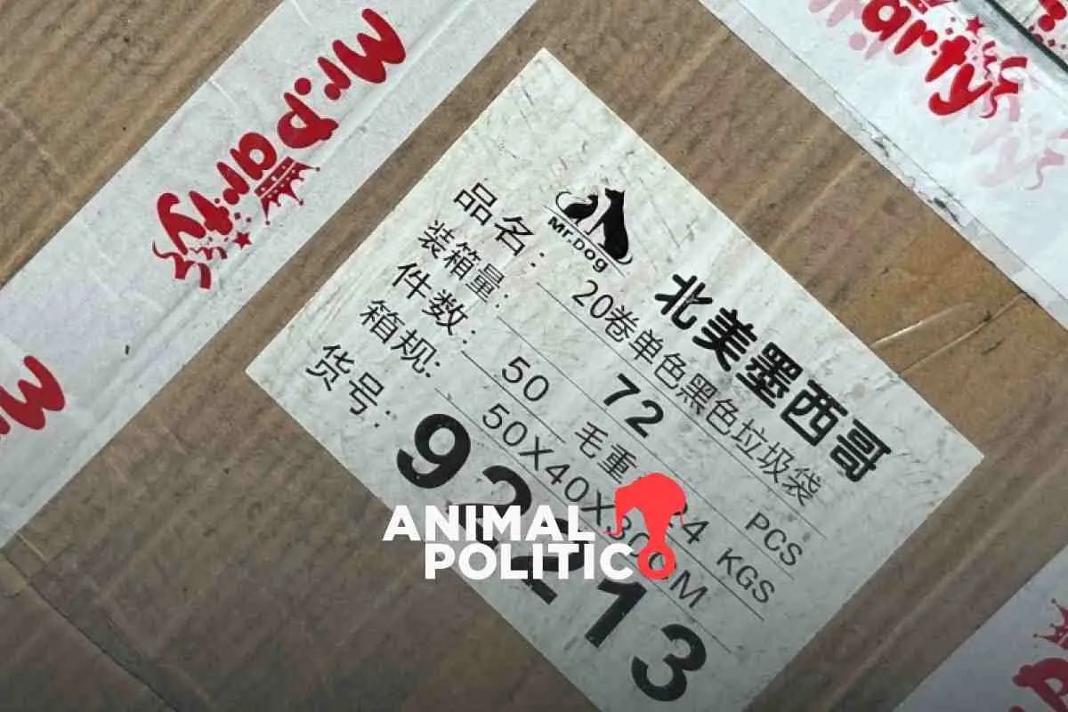 Entran en vigor aranceles impuestos por México a China y a países sin tratado: estos son los sectores más afectados