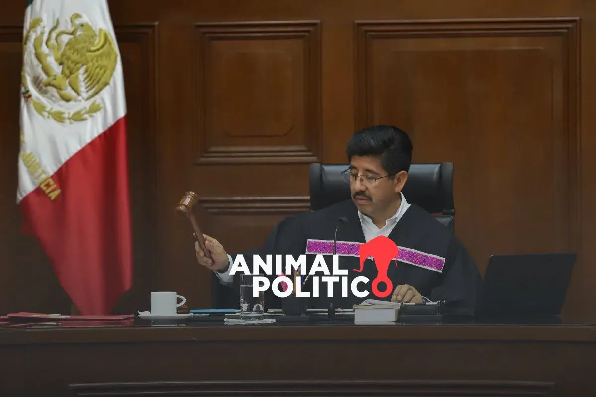 Camionetas blindadas, “robo” de arte y falta de transparencia marcan la primera defensa fallida de la Suprema Corte