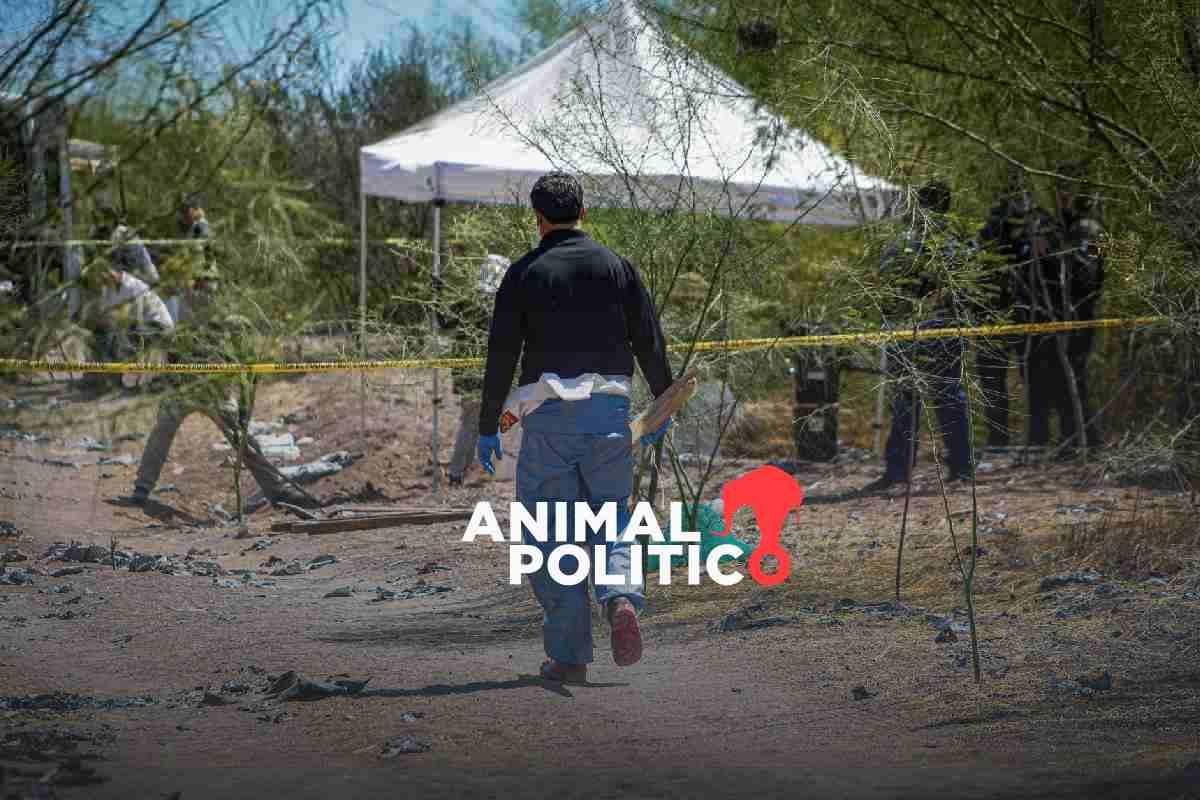 Tortura, masacres y hallazgo de fosas clandestinas, entre los crímenes de alto impacto más frecuentes en 2025: Causa en Común