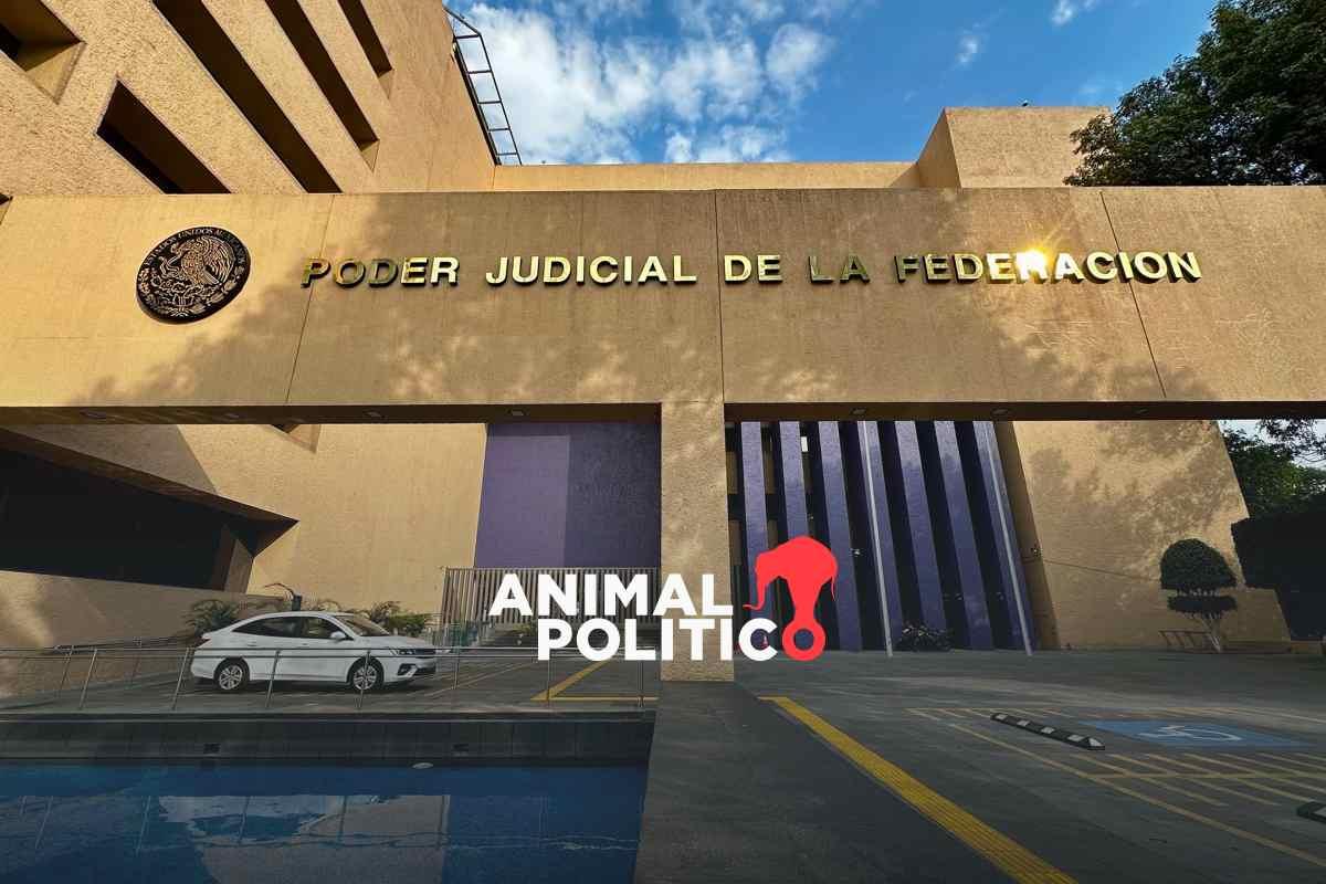 Trabajadores del Poder Judicial denuncian despidos masivos en el OAJ; van al menos 100 empleados de confianza cesados en enero