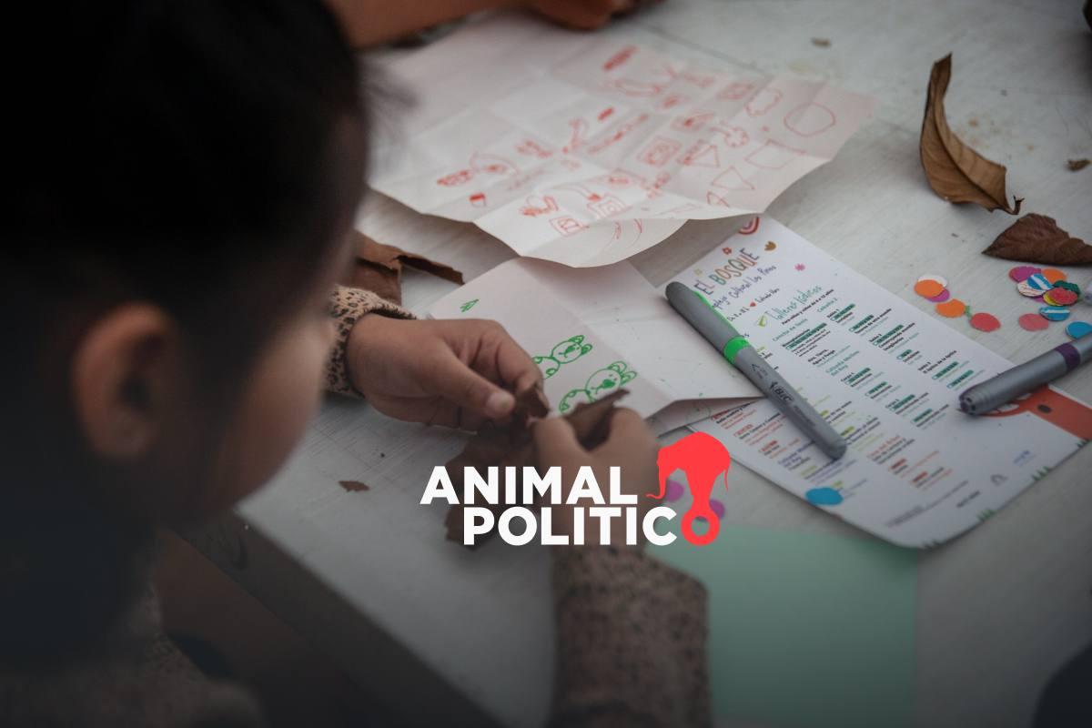 Infancias en México inician 2026 entre incremento de pobreza, desapariciones, trabajo infantil y rezago educativo: Redim