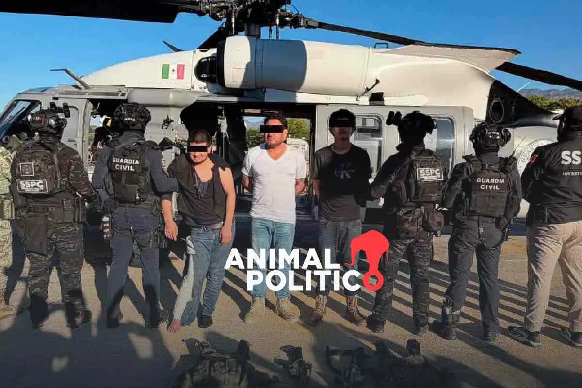 De autodefensas a franquicia criminal: quiénes son Los Blancos de Troya, el grupo que extorsiona a limoneros en Michoacán