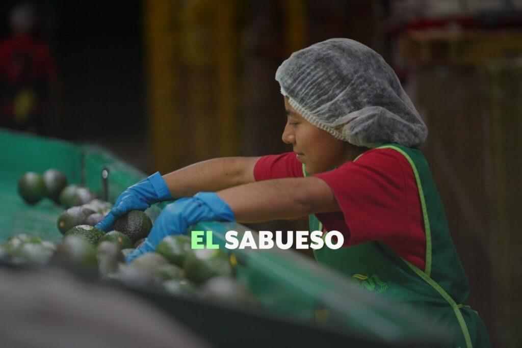 2025, el segundo peor año en creación de nuevos empleos en México en la última década