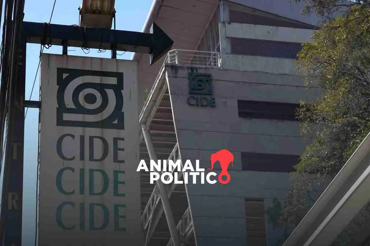 Rechazo de la comunidad académica y no presentar sus autoevaluaciones: razones por las que destituyeron a director del CIDE