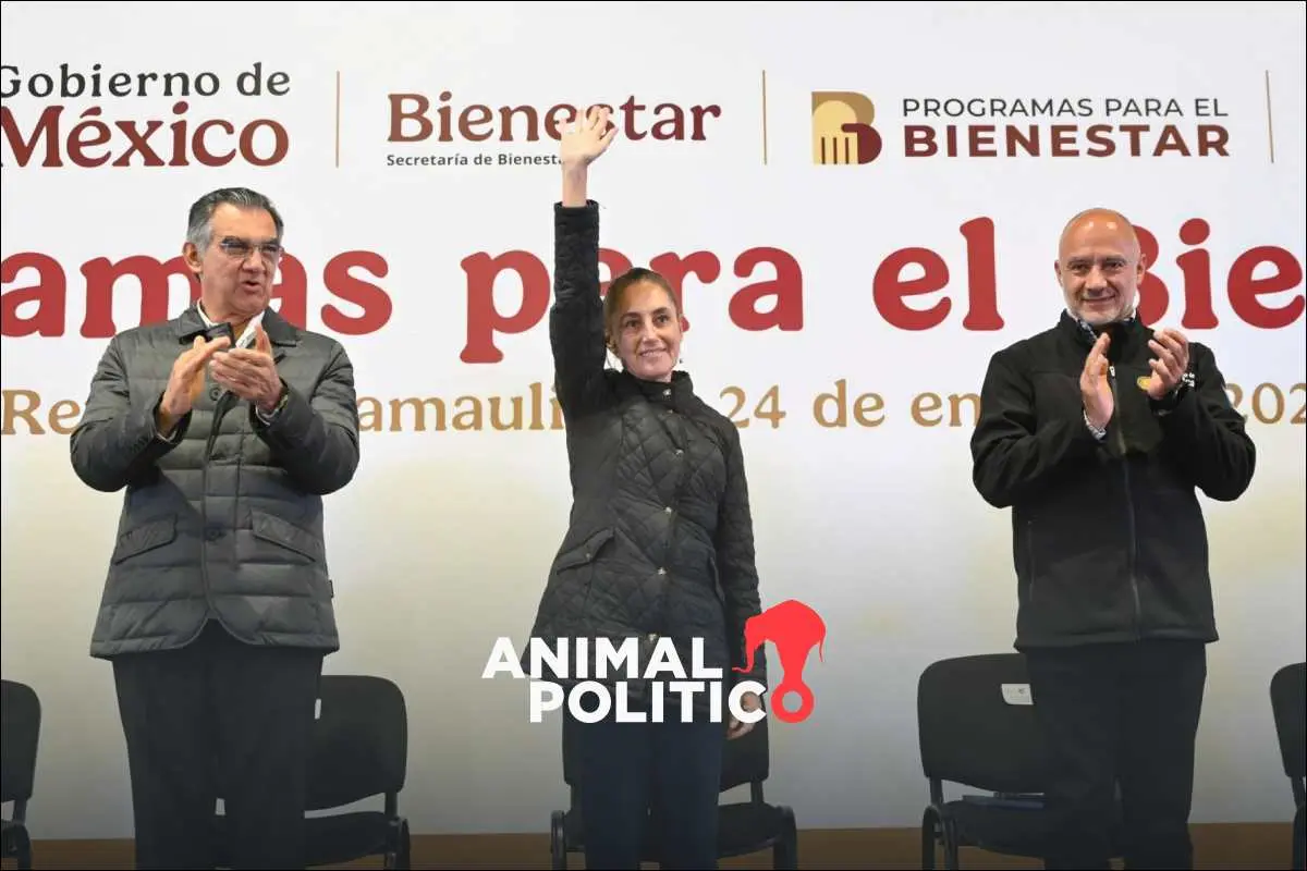 Sheinbaum destaca desde Tamaulipas que 1 billón de pesos se destinará a programas sociales en 2026