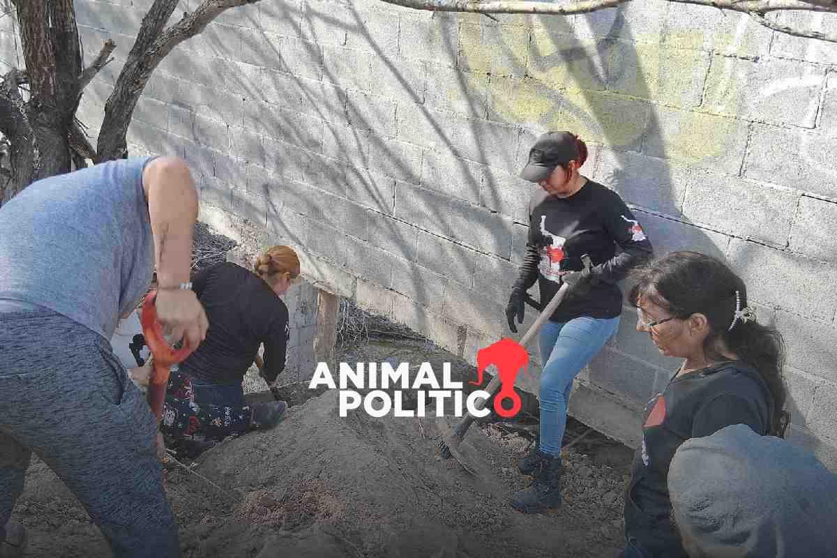 Colectivo de búsqueda halla segmentos humanos en fosa cerca de zona militar en Reynosa, Tamaulipas