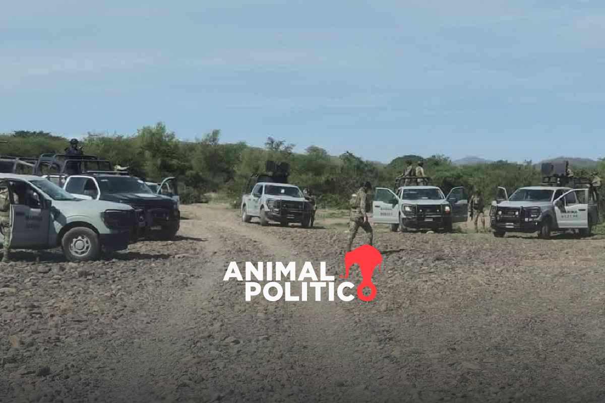 Empresa Vizsla Silver reporta que cinco de los mineros secuestrados en Concordia, Sinaloa, siguen desaparecidos