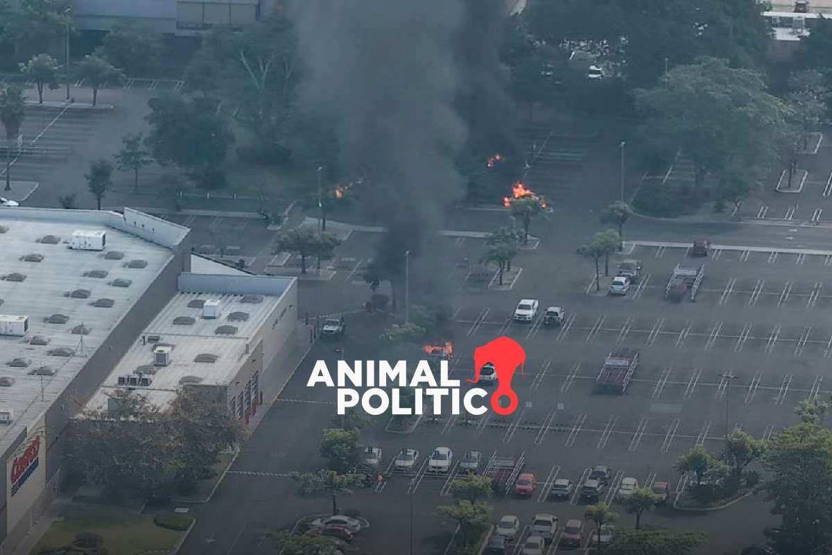 Jalisco, Nayarit y estos estados suspenden clases el lunes ante bloqueos y enfrentamientos tras abatimiento de “El Mencho”