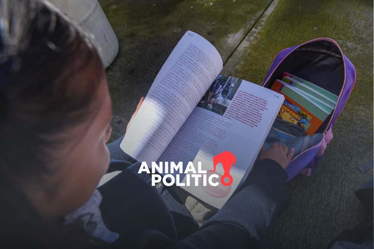 “Se van a enriquecer”: Sheinbaum aclara que libros de texto no se reharán tras despido de Marx Arriaga de la SEP