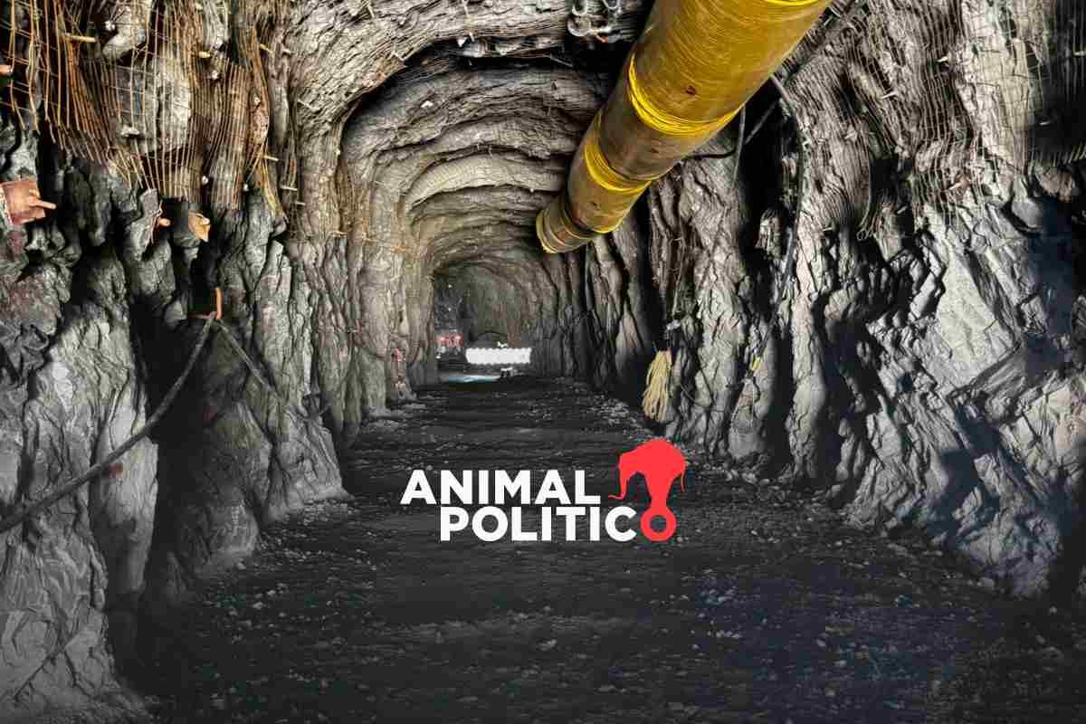 Mina donde laboraban los 10 mineros desaparecidos en Concordia, Sinaloa, cerró en abril de 2025 por “condiciones de seguridad”