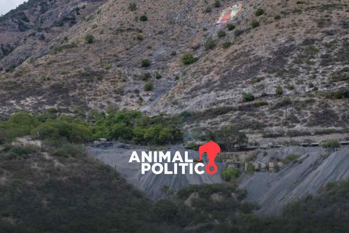 Minería, tala y narcolaboratorios: industrias contaminantes que el Cártel de Jalisco Nueva Generación expandió tras mando de “El Mencho”