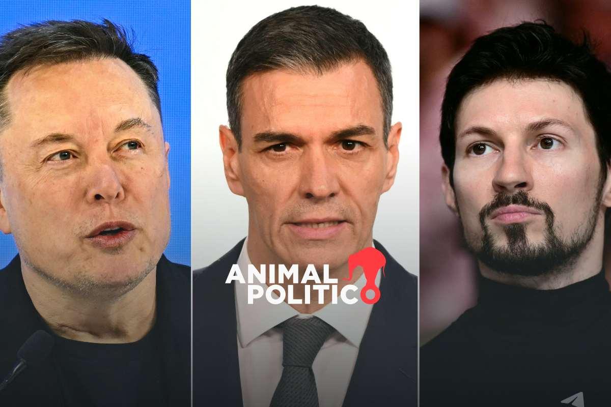 Presidente de España responde a Elon Musk y a dueño de Telegram tras críticas a su plan de regular las redes sociales
