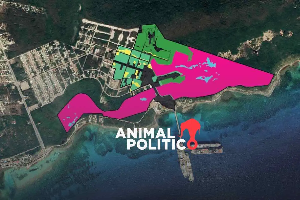 Un jaguar, una pajareada y firmas, así se defienden Mahahual y Cozumel de Perfect Day; Royal Caribbean insiste en parque acuático