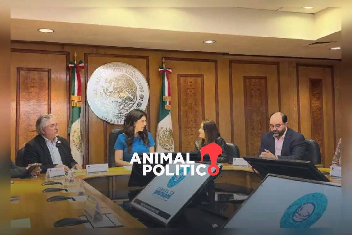 Somos México entrega propuesta de reforma electoral a Diputados; plantean blindar al INE y endurecer fiscalización