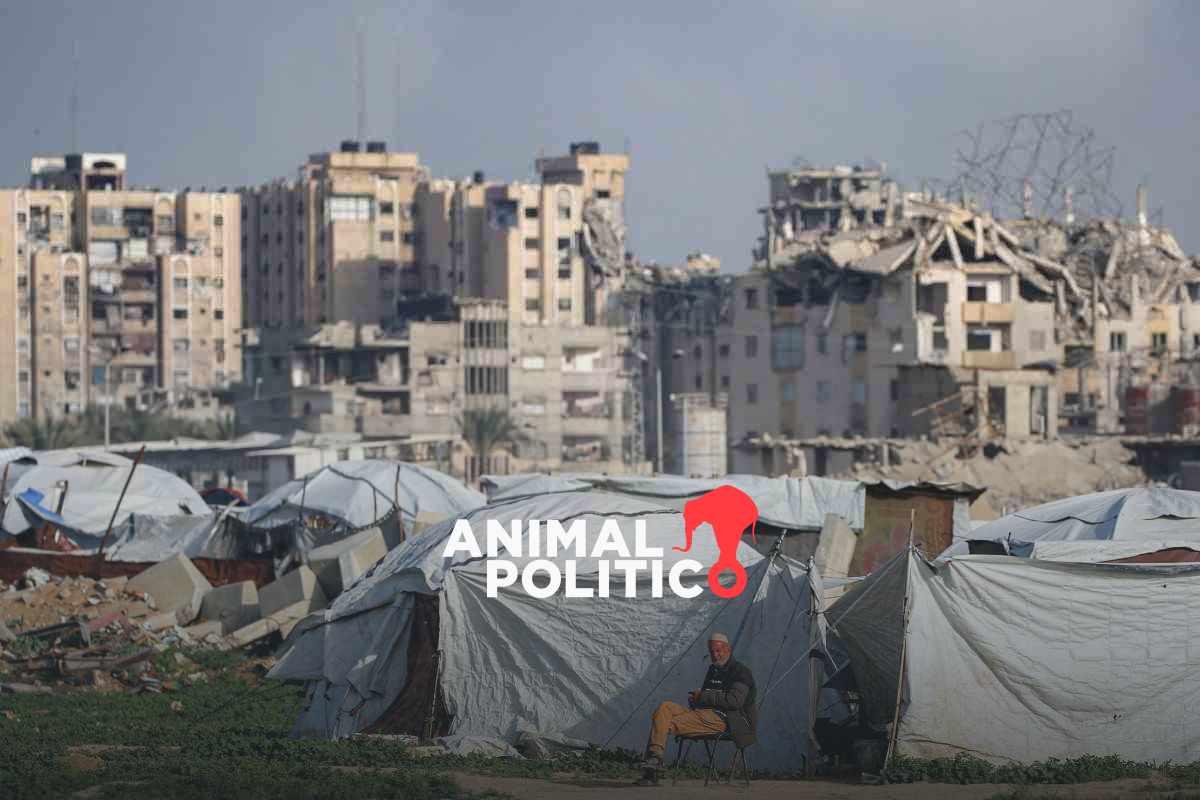 Trump pide a Hamás que proceda a un desarme “total e inmediato”; Junta de Paz se reunirá el jueves