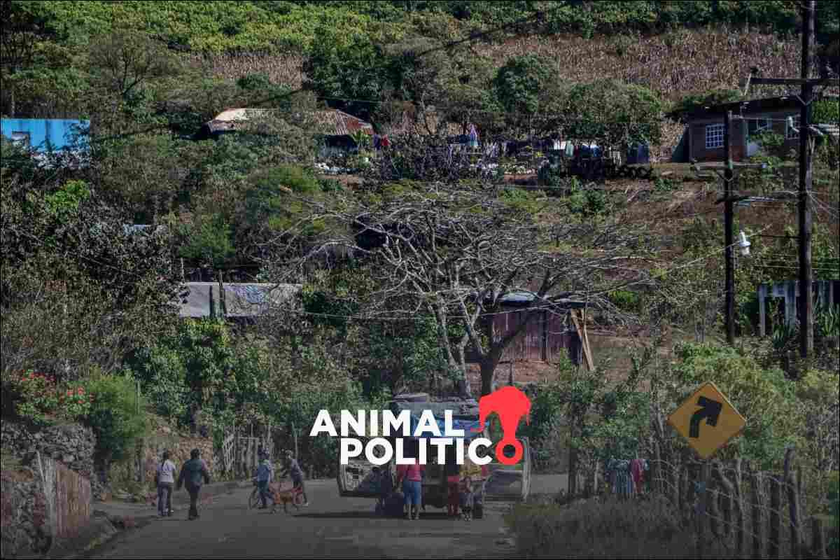 Hallan cuatro fosas más en Concordia, Sinaloa; se suman a las del caso de los mineros