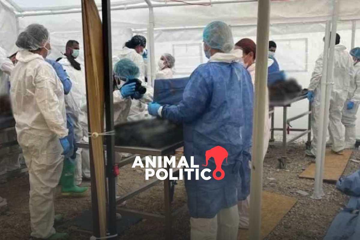 Van 185 cuerpos identificados de 386 hallados en el crematorio Plenitud en Ciudad Juárez; 123 familias han presentado denuncias