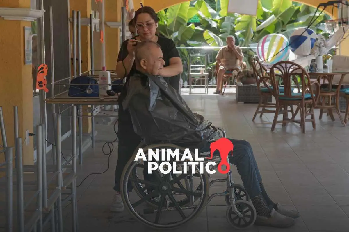 Demencia en casa. “Volví a sentirme normal”: WhatsApp y desayunos grupales, el alivio colectivo de la carga de los cuidados