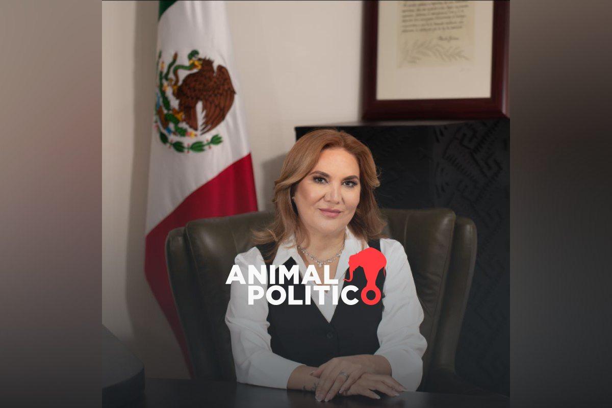 Detienen a hijo de alcaldesa de San Quintín, BC, por agredir a manifestantes; funcionaria dice que se aplicará ley sin privilegios