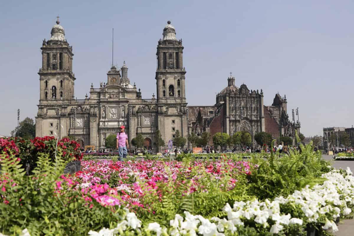 10 mil flores y cine al aire libre: así será el Jardín del Buen Amor por el 14 de febrero en el Zócalo