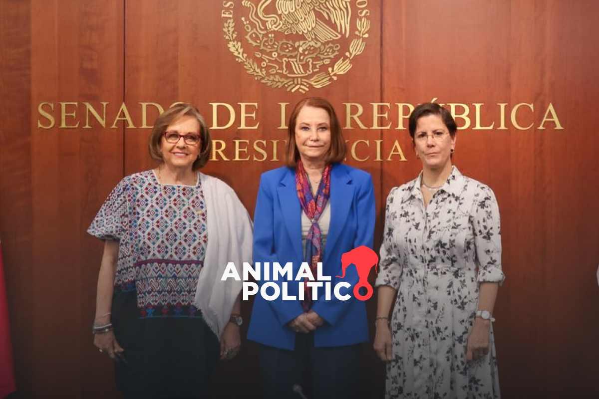 Sin recursos, las leyes a favor de las mujeres son insuficientes, advierte relatora de la ONU