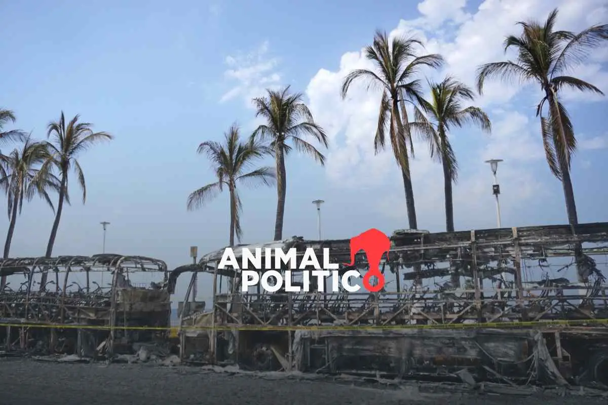 Fotos: Puerto Vallarta, el paraíso turísitico que ardió por la caída de “El Mencho”