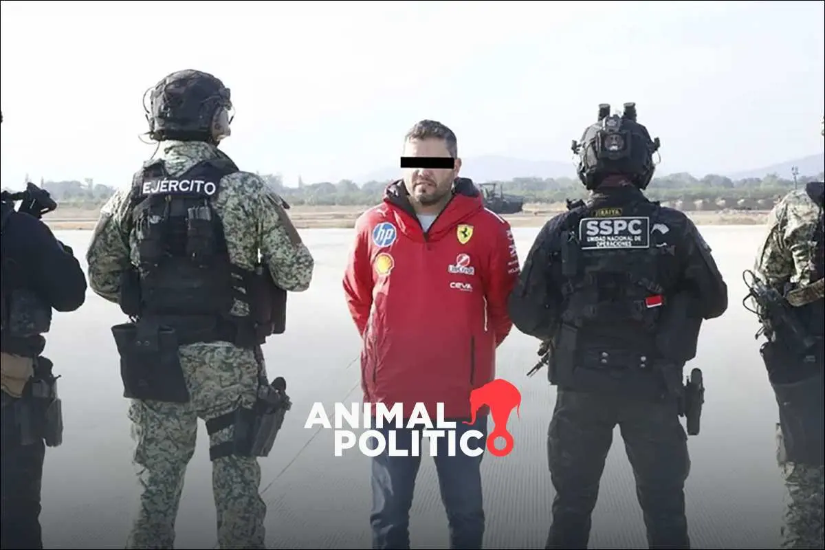 “Ningún partido, y menos Morena, puede ser un paraguas para delinquir”: Sheinbaum sobre detención del alcalde de Tequila