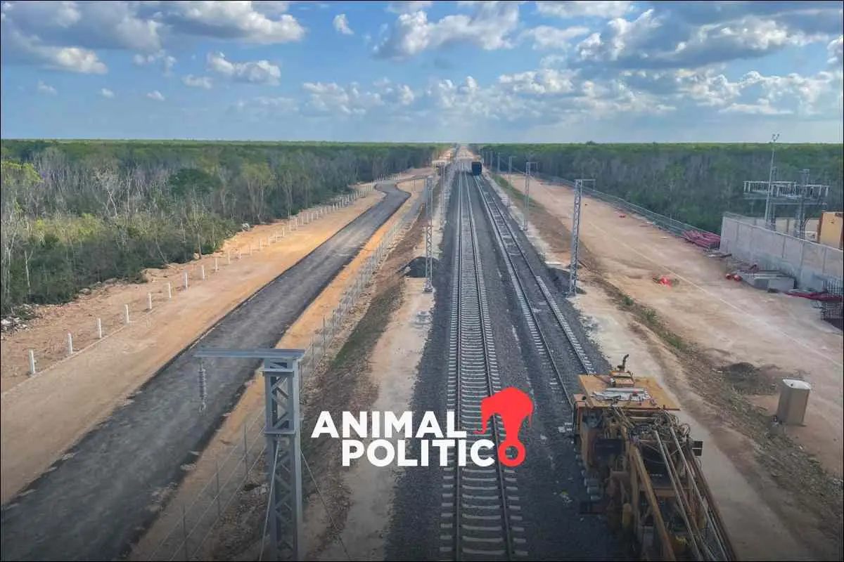 Tribunal frena obras del Tramo 5 del Tren Maya hasta que se realicen las revisiones ambientales obligatorias