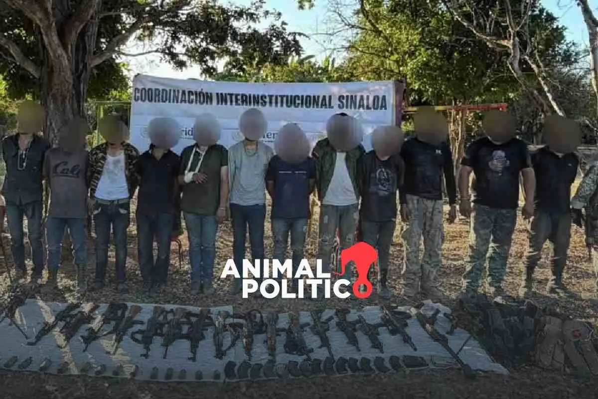 Detienen a 14 personas en San Ignacio, Sinaloa, tras enfrentamiento; les aseguran armas y explosivos