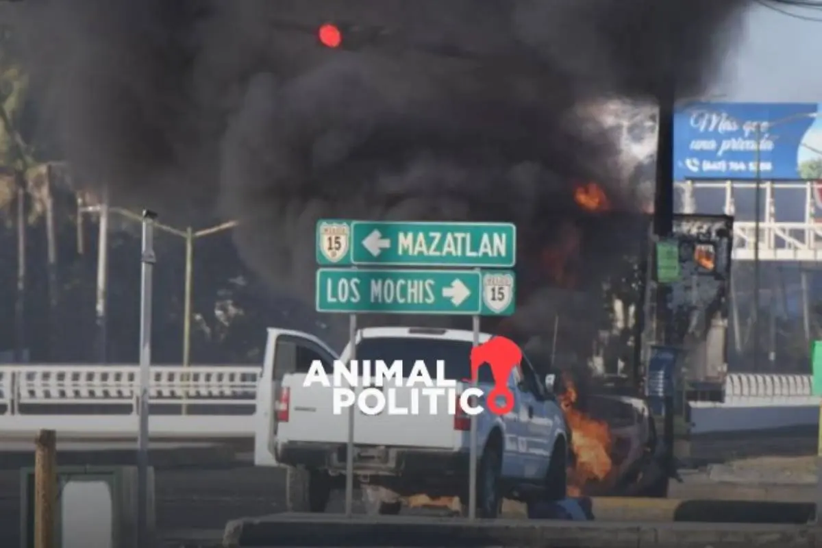 EU acusa a Jesús Ibarra Félix, “El Chuta”, por presunto narcotráfico y liderar un grupo de seguridad para Los Chapitos