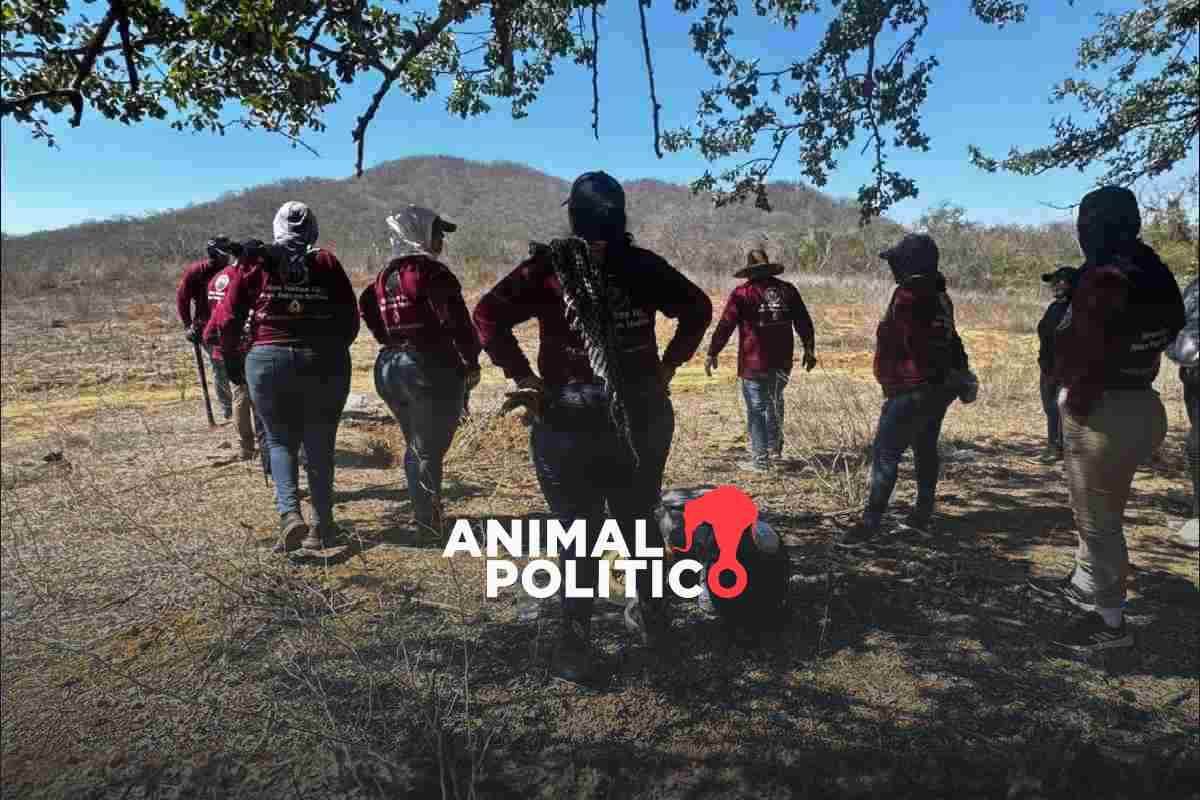 Buscadoras hallan una fosa clandestina más en la comunidad de El Verde, en Concordia, Sinaloa