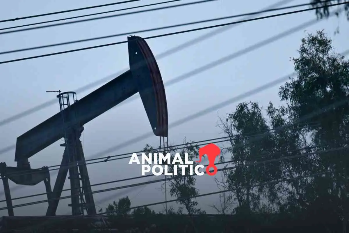 Guerra en Medio Oriente pone a prueba “una vez más” la resiliencia económica mundial, dice directora del FMI