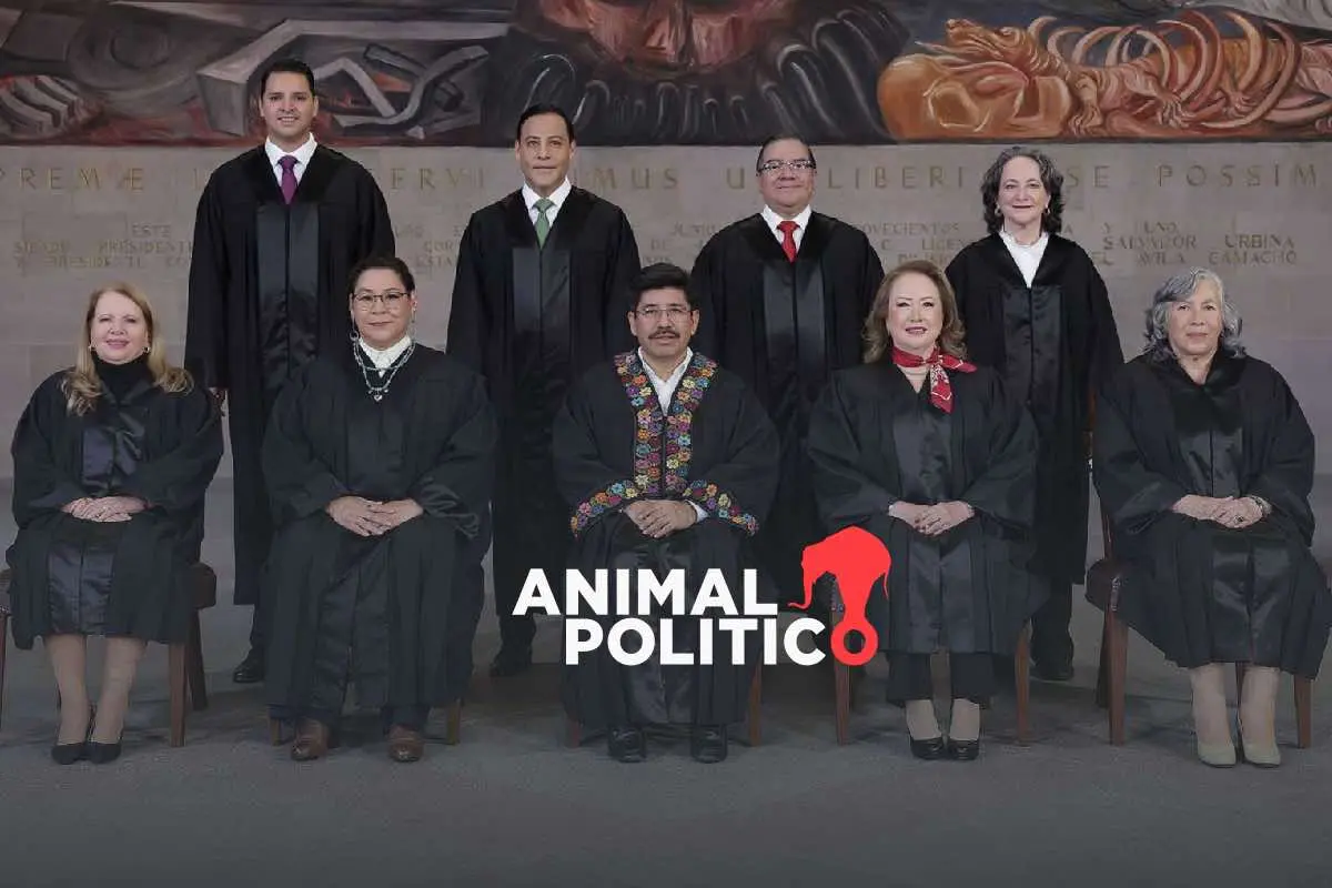 Primeros seis meses de la nueva Suprema Corte: iniciativas históricas, proyectos polémicos y protestas ciudadanas